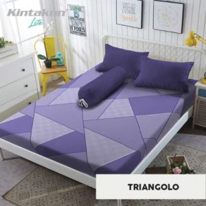 Triangolo SP B2 WN