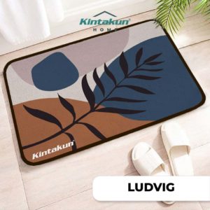 Kintakun Home Indoor Mat 40x60 LUDVIG Custom