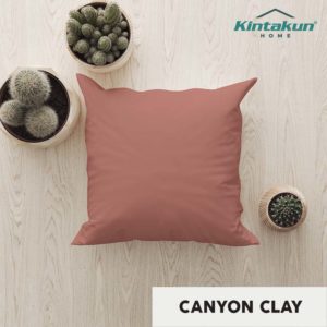 CANYON CLAY