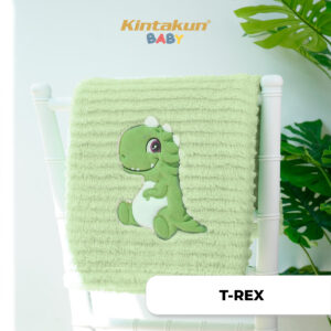 T REX BABY Blanket Drop Needle DSC4281 WN