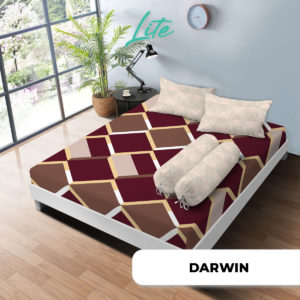 DARWIN SP Double WN