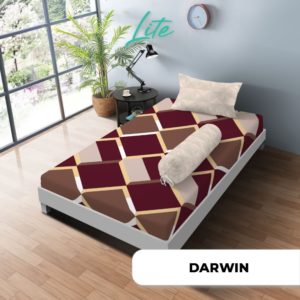 DARWIN SP Single WN