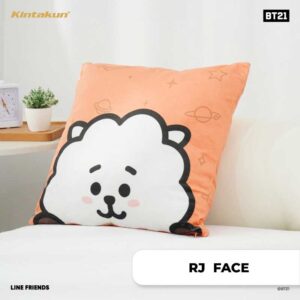 RJ FACE Cushion Cover BT21 DSC0793 WN