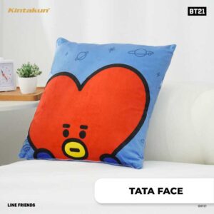 TATA FACE Cushion Cover BT21 DSC0791 WN