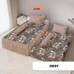 DESY SP 2in1 PWN