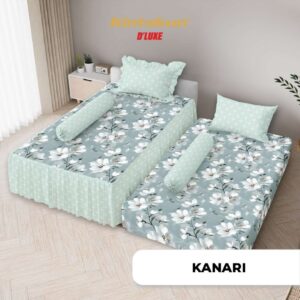 KANARI SP 2in1 PWN