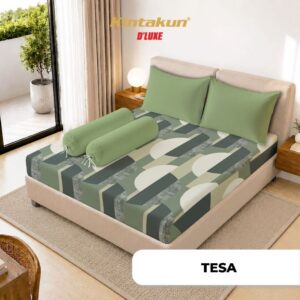TESA SP DOUBLE