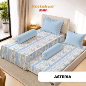 ASTERIA SP 2in1